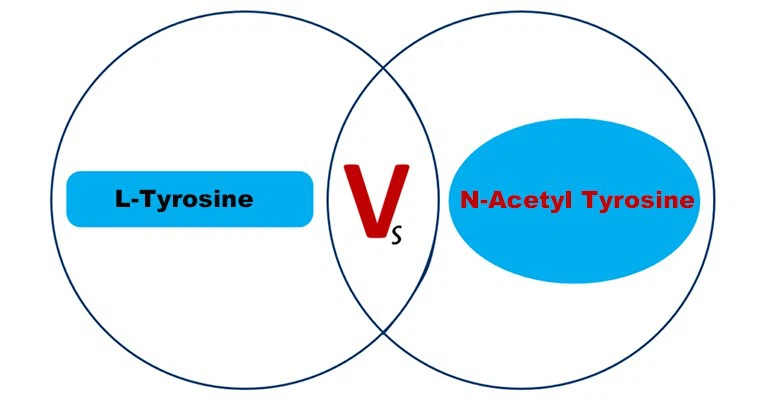 N-Acetyl Tyrosine vs L-Tyrosine N-Acetyl Tyrosine vs L-Tyrosine
